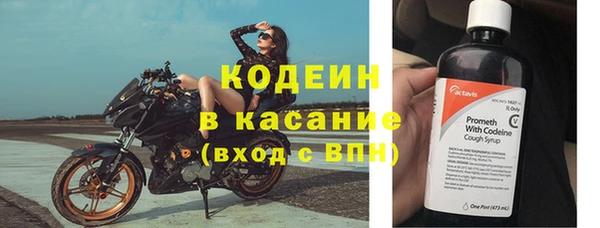 стаф Ельня