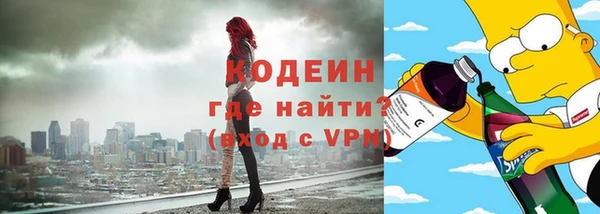 стаф Ельня