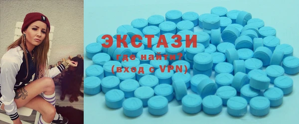 стаф Ельня