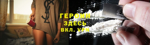 стаф Ельня