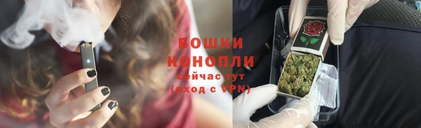 стаф Ельня