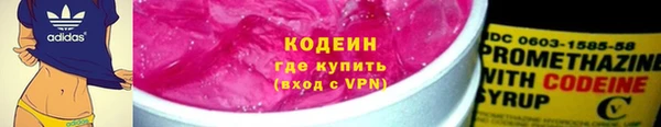 стаф Ельня