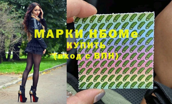 стаф Ельня