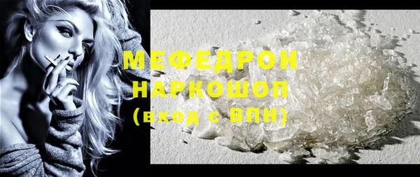стаф Ельня