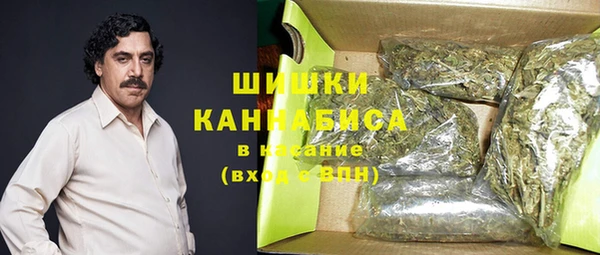 стаф Ельня
