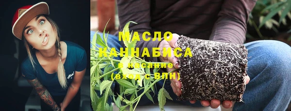 стаф Ельня