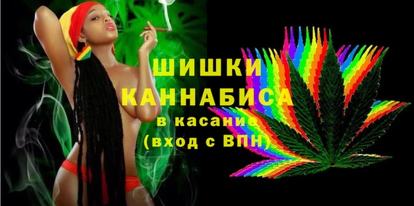 стаф Ельня
