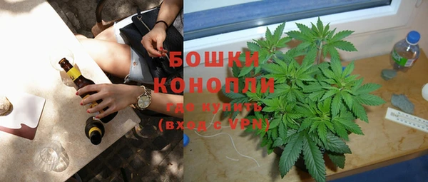 молекула духа Дмитровск