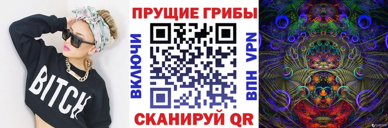 Купить закладки  Нижняя Тура  Галлюциногенные грибы мухоморы 