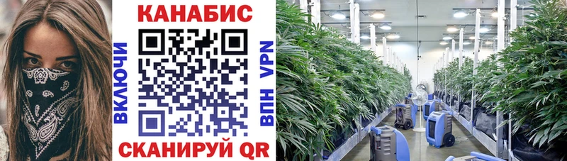 Купить  Нижняя Тура  Конопля White Widow 